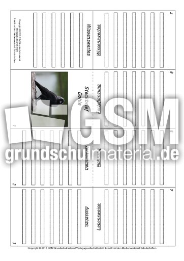 Faltbuch-Dohle.pdf